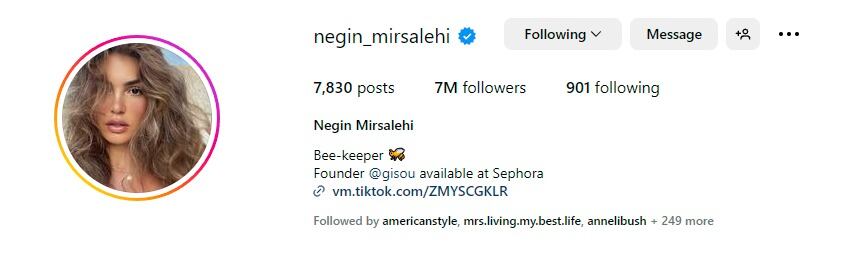 Negin Mirsalehi Instagram Profile