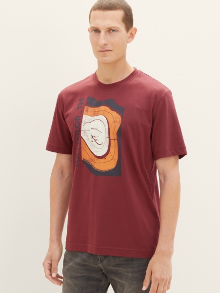Tom Tailor - Gent T-Shirt Print GOOFASH
