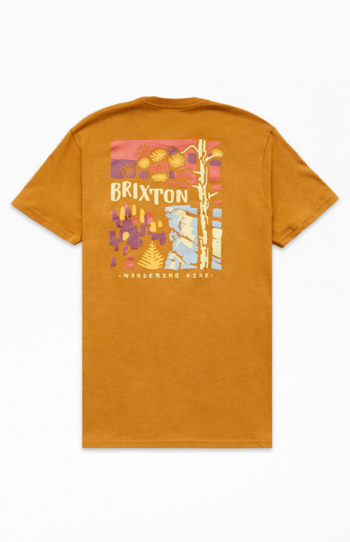 Brixton T-Shirt in Brown - Pacsun GOOFASH