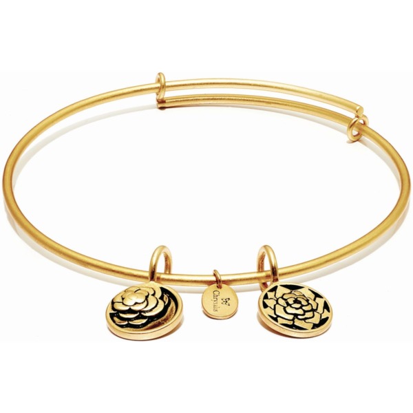 Chrysalis Bangles Rose for Woman from Watch Shop GOOFASH
