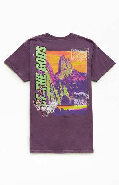 Purple T-Shirt Pacsun GOOFASH