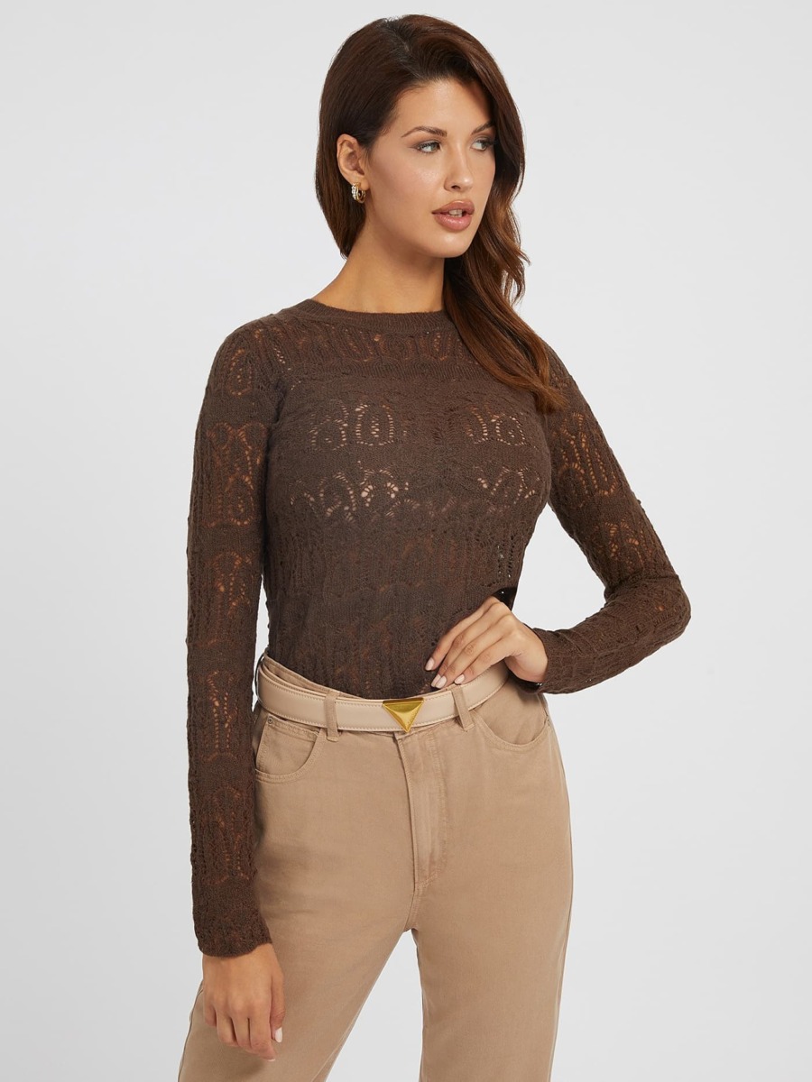 Lady Sweater Brown Guess GOOFASH