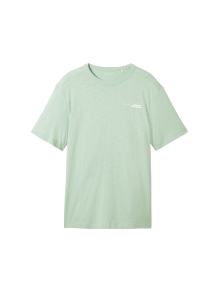 Gent Green T-Shirt from Tom Tailor GOOFASH
