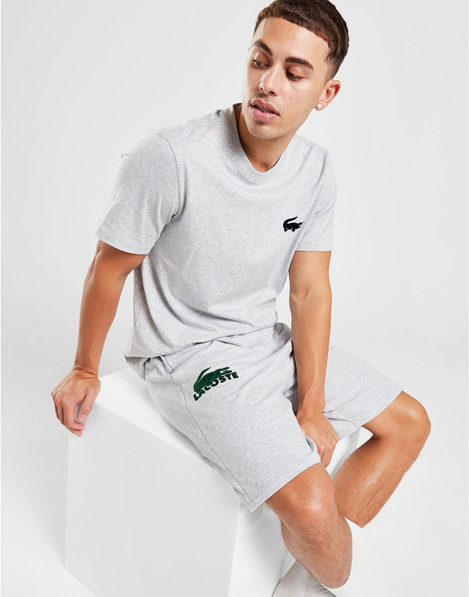JD Sports Man Shorts Grey by Lacoste GOOFASH