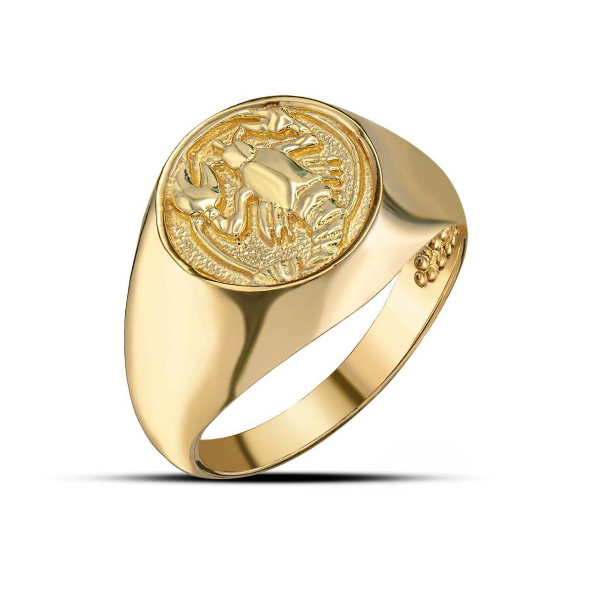 Lady Ring in Gold - Gold Boutique GOOFASH