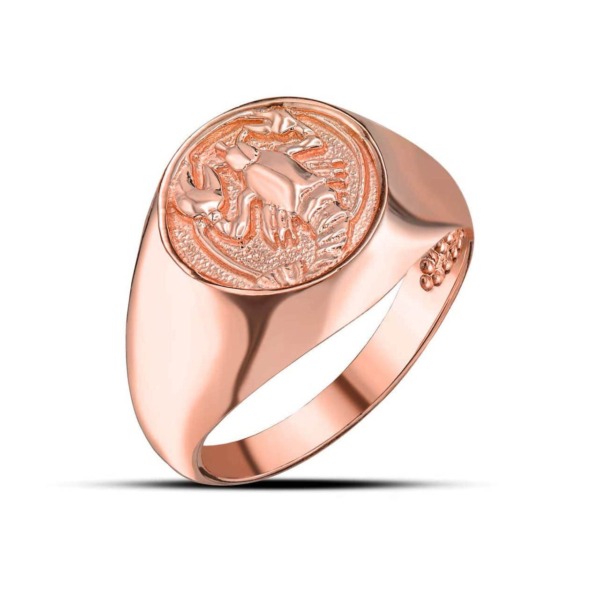 Lady Ring in Rose Gold Boutique GOOFASH
