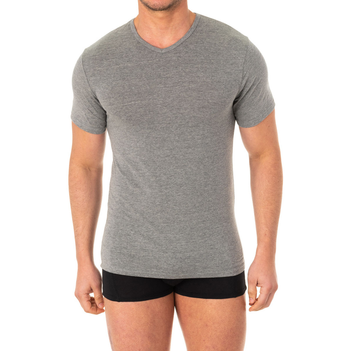 Spartoo - Grey Mens T-Shirt - Abanderado GOOFASH