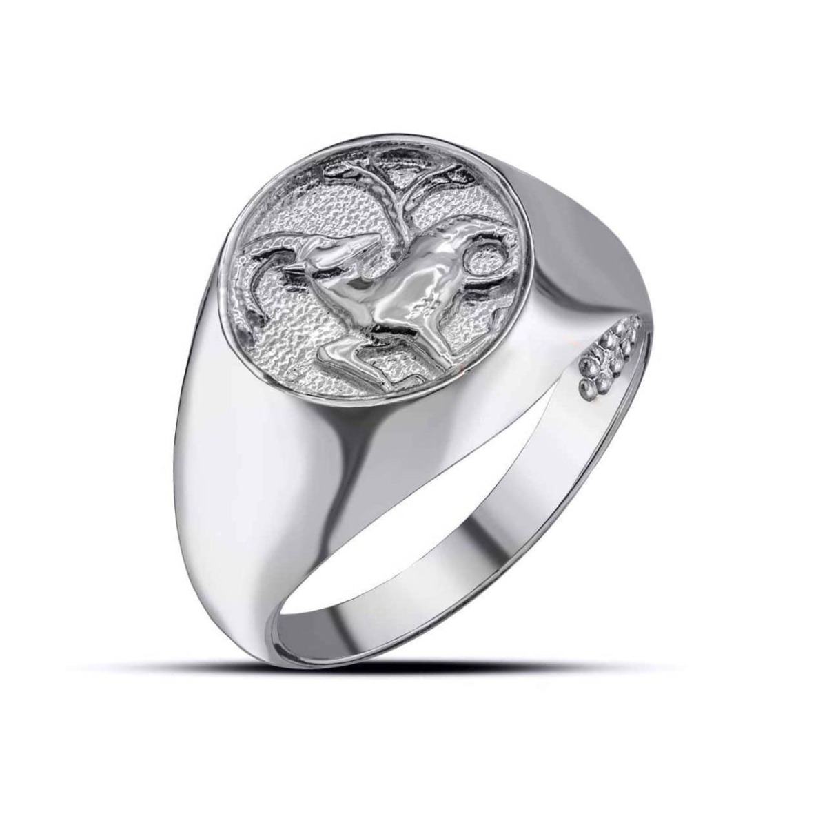 Women's Ring Silver from Gold Boutique GOOFASH